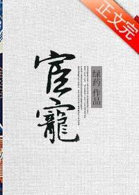 宦宠糖柠柠