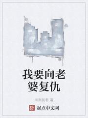复仇 3钢铁侠老婆