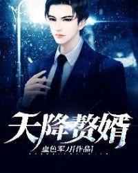 天降赘婿血色军刀txt