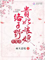 贵妃娘娘路子野得宠着百度