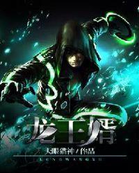 龙王婿完整版