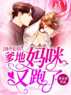混乱之子简介