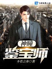 神瞳鉴宝师沐风txt