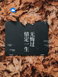 沈蔓歌叶南弦全文免费阅读更新
