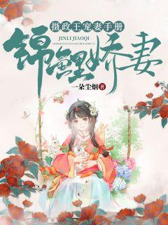 赵锦儿秦慕修现代医生免费阅读