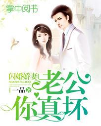 楚门创始人楚阳夏雪免费阅读