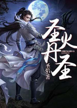 圣火丹圣免费阅读