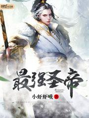 最强圣王