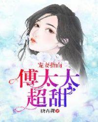 宠妻指南傅太太超甜陆笙评论