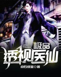 极品透视医仙免费全本