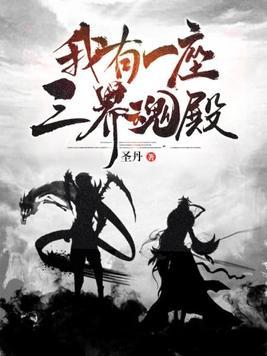 我有一座三界魂殿 圣丹