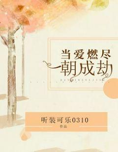 当爱燃尽时全文免费阅读