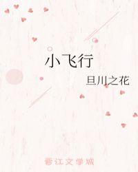 小飞行员大班教案