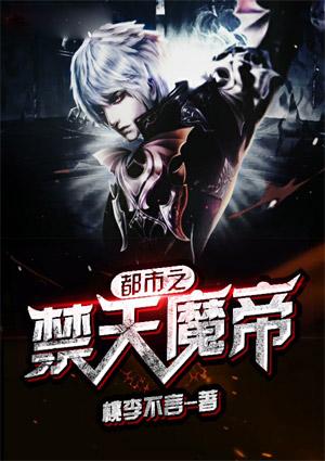 都市之惊天魔盗全文