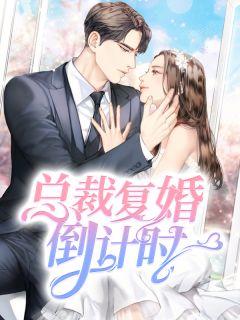 总裁复婚到计时