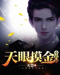 天眼摸金小农民txt全本