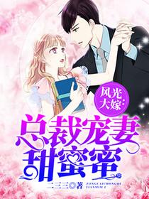 二婚甜蜜公式txt百度