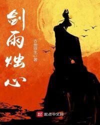 剑雨解析