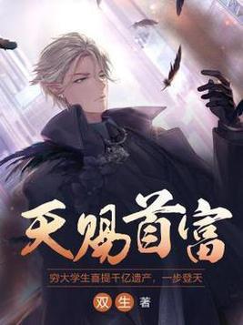 天赐投资有限公司
