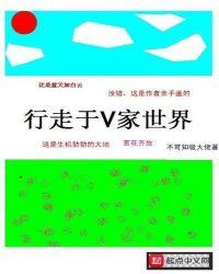 行走在v家世界吧