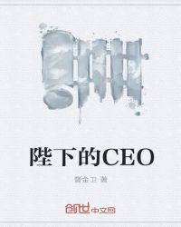 陛下的CEO 督金卫