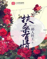 扶桑有什么意思