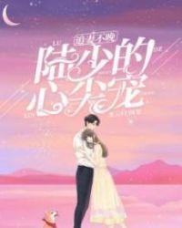 陆少追妻不简单txt