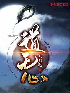 道无心以合人