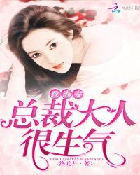 总裁大人很生气的
