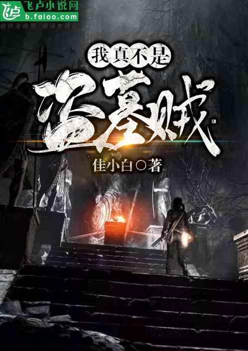 真有盗墓贼吗