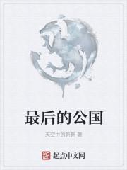 最后的国度