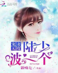 宠妻无度 陆少请节制