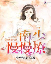 南少宠妻上瘾入骨暖婚