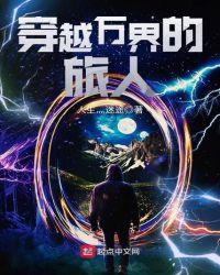穿越诸天的旅人