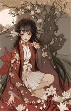 锦心似玉冬青的结局