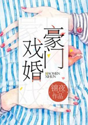豪门戏婚总裁攻妻好坎坷