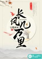 长风几万里吹度玉门关长风指的是