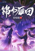 锦书雁回安知晓免费阅读