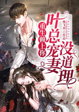 重生赖上隐婚老公免费