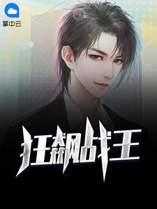 狂飙王价格