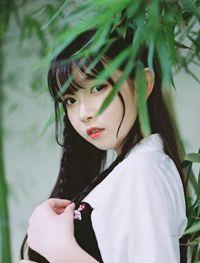 夏楚心容禹的