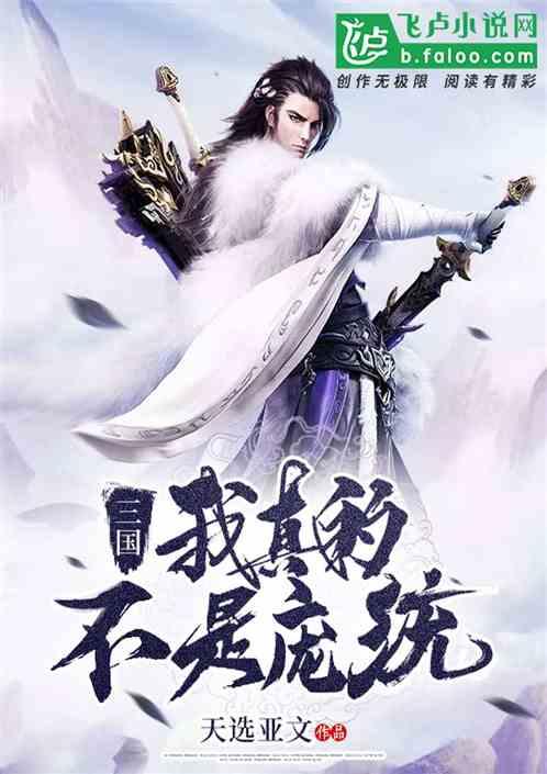 三国我真不是庞士元