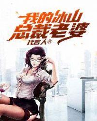我的冰山总裁老婆叶潇免费