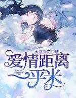 九平米的爱情