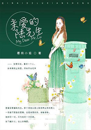 亲爱的陆先生西大秦TXT