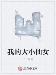 我的大小仙女免费阅读