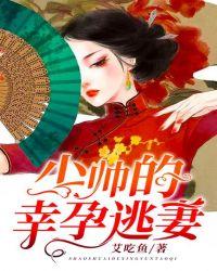 少帅的幸孕逃妻全文阅读