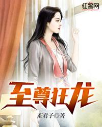 至尊狂龙24集