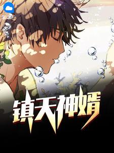 镇天神婿多少页