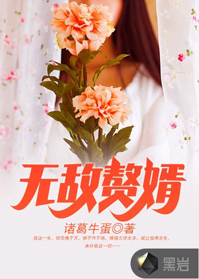 无敌赘婿by玚瑷方天涯